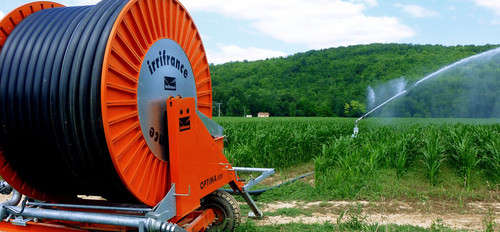 Enrouleur d'irrigation arrosant un champ de maïs